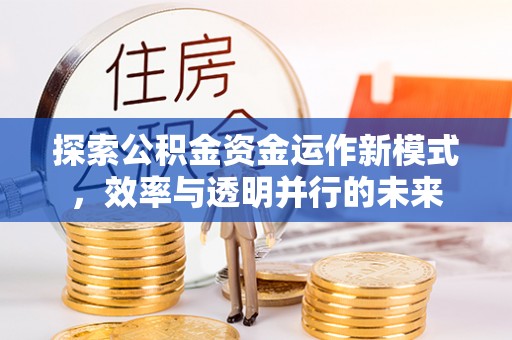宁海探索公积金资金运作新模式，效率与透明并行的未来
