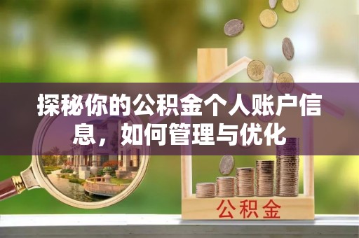 宁海探秘你的公积金个人账户信息，如何管理与优化