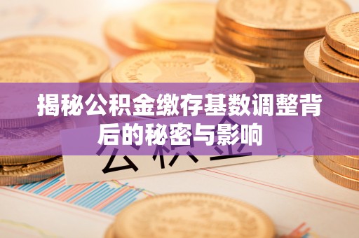 宁海揭秘公积金缴存基数调整背后的秘密与影响