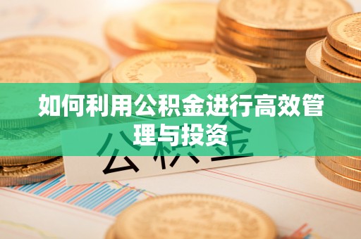 宁海如何利用公积金进行高效管理与投资