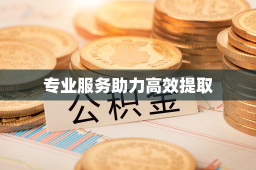 宁海专业服务助力高效提取