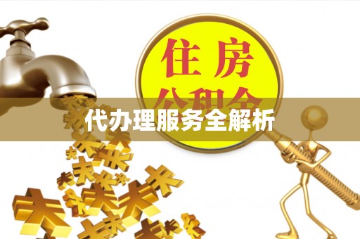 宁海代办理服务全解析