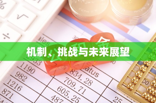 宁海机制、挑战与未来展望
